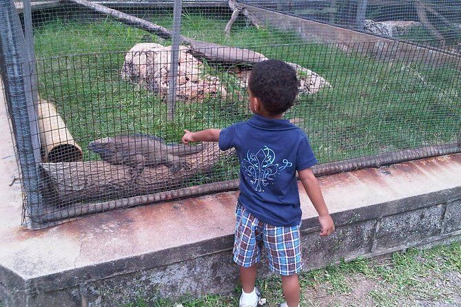 Tour Jamaica Zoo in Saint Elizabeth