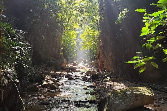 Hiking Adventure: River Trails & Waterfall Wonders