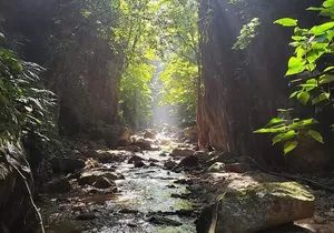 Hiking Adventure: River Trails & Waterfall Wonders