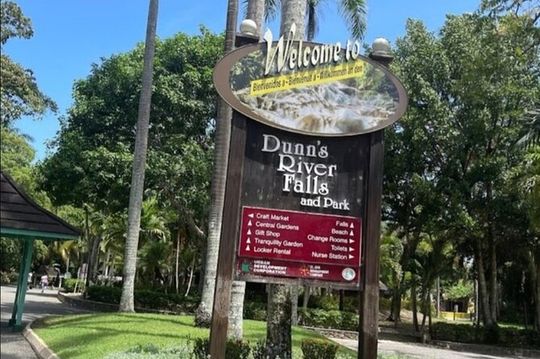 Private Dunn's River and Blue Hole Experience from Montego Bay