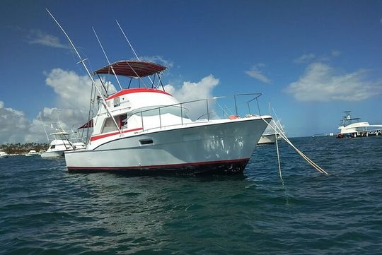 4 Hours Private Fishing Tour Punta Cana
