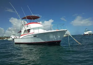 4 Hours Private Fishing Tour Punta Cana