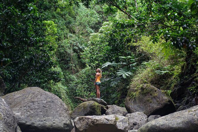 Hiking Adventure: River Trails & Waterfall Wonders