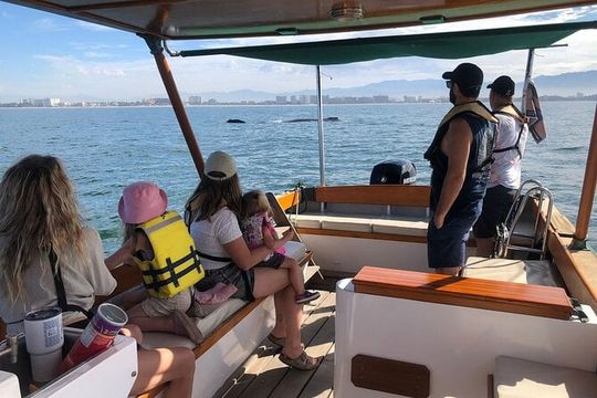 Whale Watching Experience – 4 Hours in Puerto Vallarta