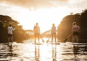 Sunset Stand Up Paddle with Photos and Turtles