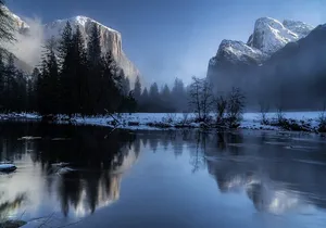 Private Customized Day Tour from San Francisco to Yosemite