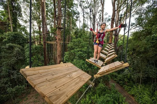 Sunshine Coast High Ropes and Zipline Adventure Park
