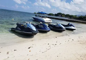 Private Jet Skiing Tour From Montego Bay Jamaica