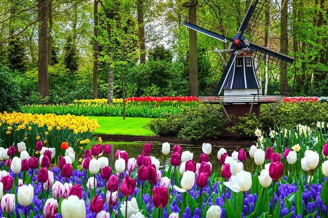 Keukenhof - spring garden from Rotterdam, Delf & The Hague