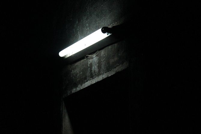 Survival Instinct Escape Game