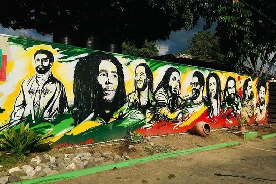 Bob Marley Private Tour from Montego Bay