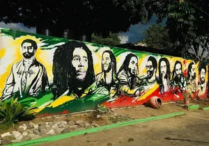Bob Marley Private Tour from Montego Bay