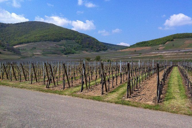 Private excursion: the best of Alsace in one day!