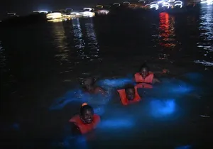 Luminous Lagoon (Glistening Waters)