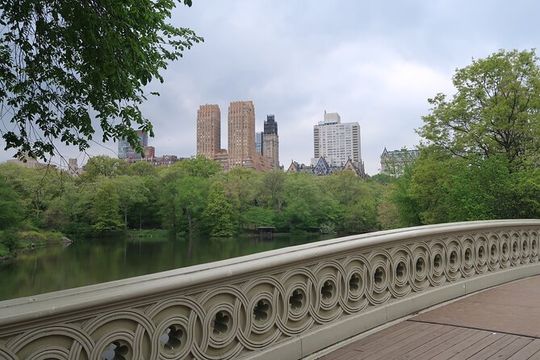 2 Hour Private Elf Movie Sites Guided Tour in New York City