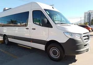 Butterflies, beach Tour with Tequila Tasting (PRIVATE TRANSPORT)