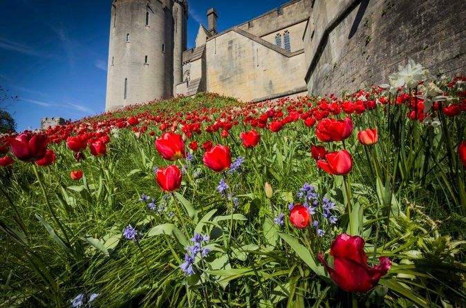 Brighton, Arundel & South Downs Private Luxury Tour from London