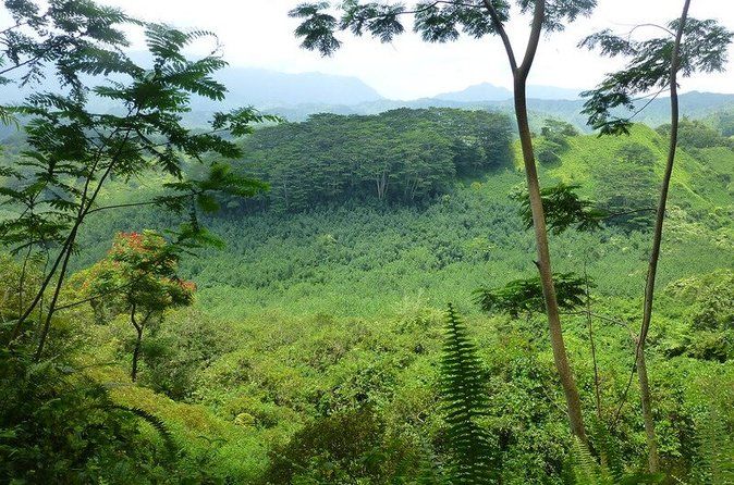 Kuilau Ridge Hike and Nature Scavenger Hunt