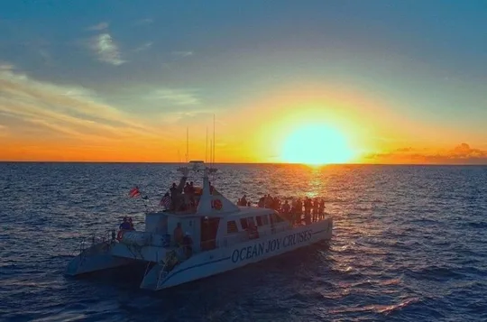 Private and Luxurious Sunset Cruise with Dolphin Watch