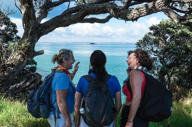 Waiheke Island Private Double Headland Walk