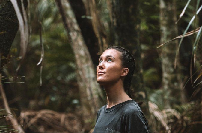 Waiheke Island Private Forest Bathing Walk