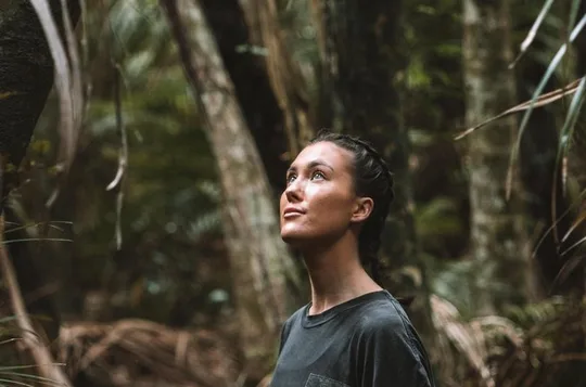 Waiheke Island Private Forest Bathing Walk