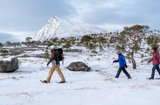 Snowshoeing - Winter Day Trip in Bodø, Northern Norway