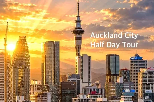 Auckland City Half Day Top Sightseeing Tour(Small Group Tour)