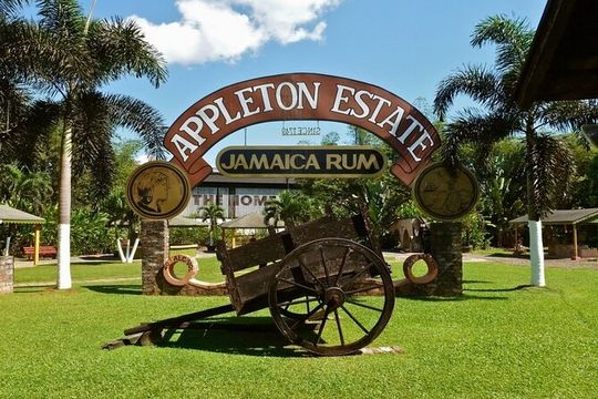 Appleton Rum Estate & YS Falls Combo Tour