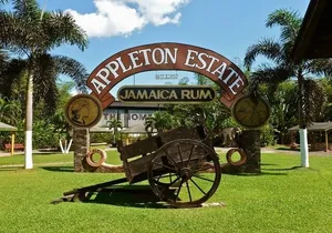 Appleton Rum Estate & YS Falls Combo Tour