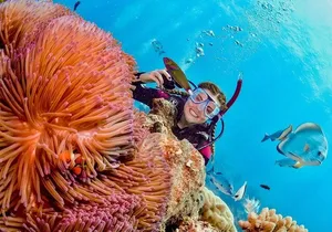 Margaritaville/Jeski Tour or Snorkeling in Montego Bay