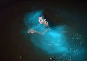 Luminous lagoons Private Nights Tours From Montego Bay