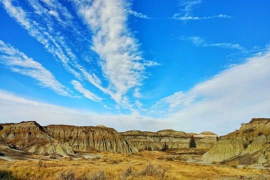 From Calgary: Private Tour to Royal Tyrrell Museum & Drumheller