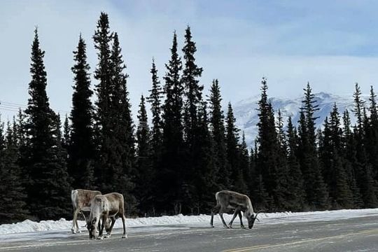 Extreme Cold Clothing Pkg - (Parka Snowpant Bibs Boots) No Tour