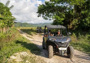 Private Rasta Safari Cultural UTV Village Experience