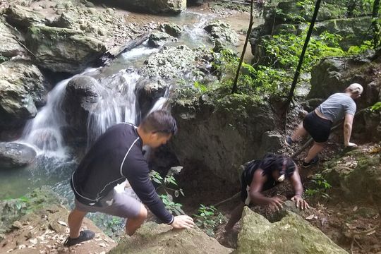 Quashie River Hiking in Cockpit Country Experience