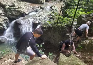 Quashie River Hiking in Cockpit Country Experience