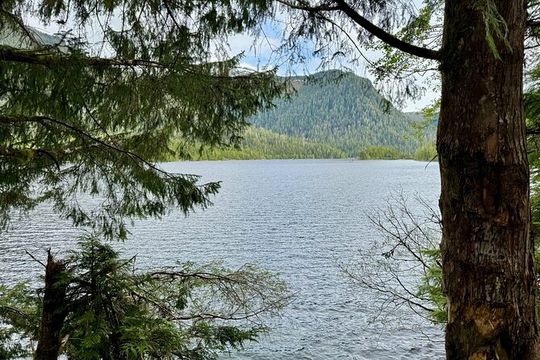 Explore Tongass National Forest on Connell Lake Trail Hike