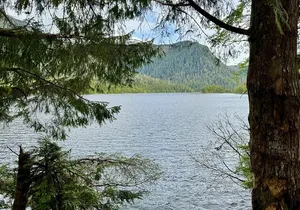 Explore Tongass National Forest on Connell Lake Trail Hike