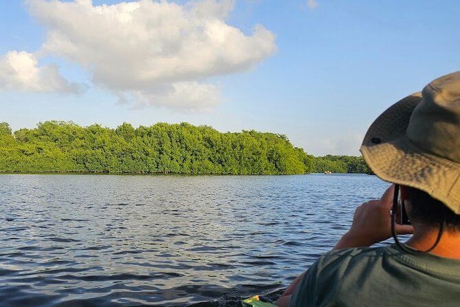 Basking in Nature during a Caroni Bird Sancturary Tour