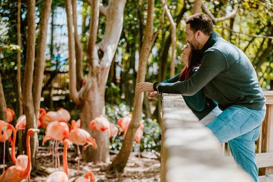 Jungle Island General Admission Ticket