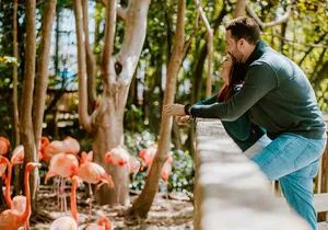 Jungle Island General Admission Ticket