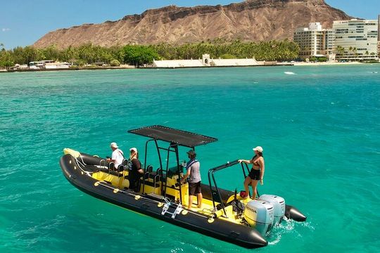 Private Turtle Canyon Snorkel Tour - Up to 6 Passengers