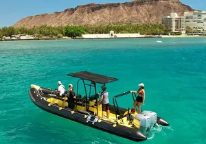 Private Turtle Canyon Snorkel Tour - Up to 6 Passengers