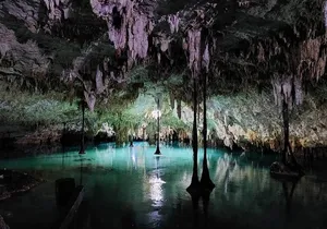 Private Tour to Tulum Cenotes Sac Actun