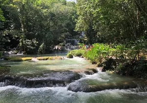 Ys Falls & Black River Safari Boat Cruise [Transportation only]