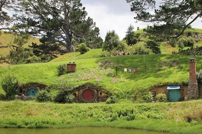 Hobbiton Movie Set and Waitomo Caves Exclusive (1-6 traveler)