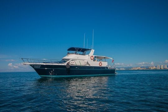 4 Hours Private Charter - 57' Bertram Yacht