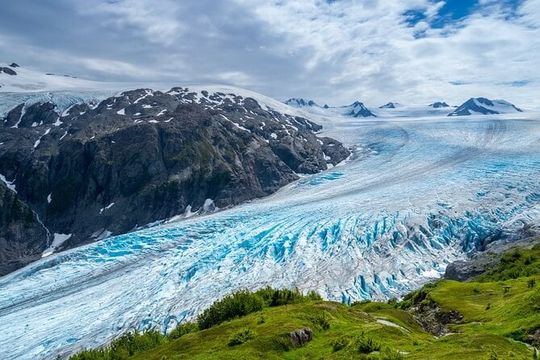 Seward Alaska City Tour and Glacier Viewing