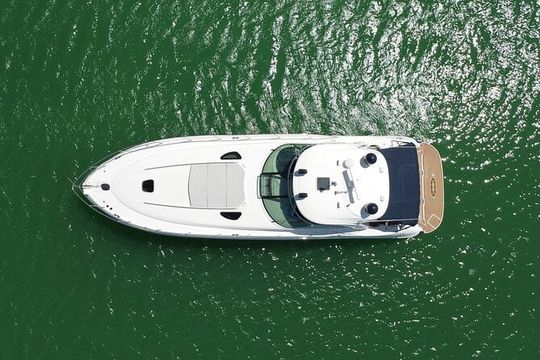 Sail The DREAM Boat From South Beach